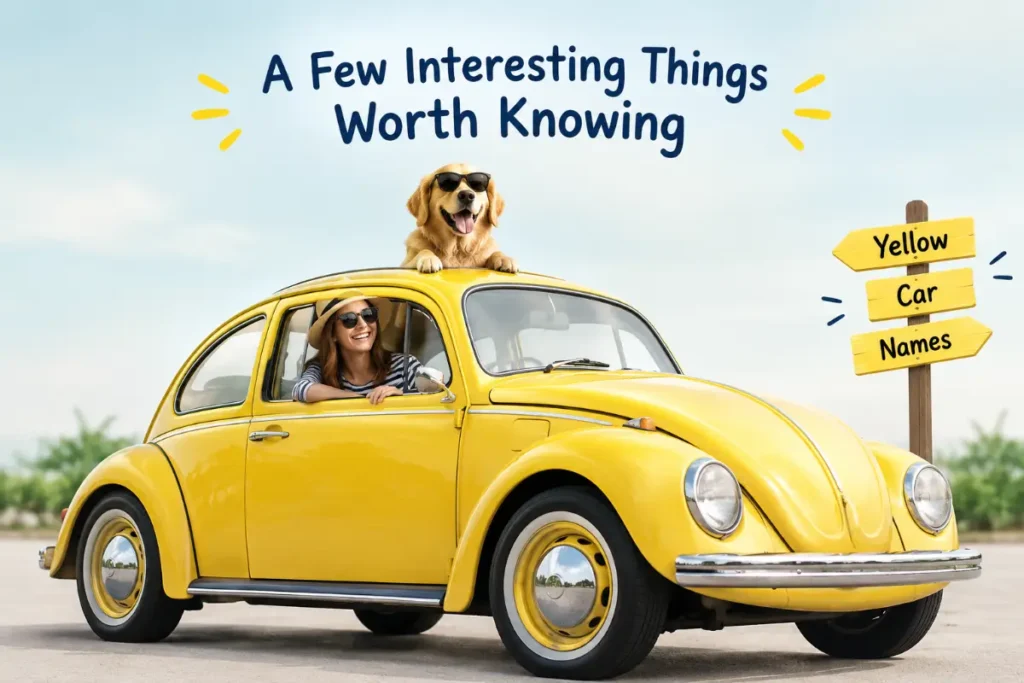 A Few Interesting Things Worth Knowing